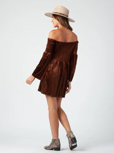 Brown Sleeveless Velvet Dress